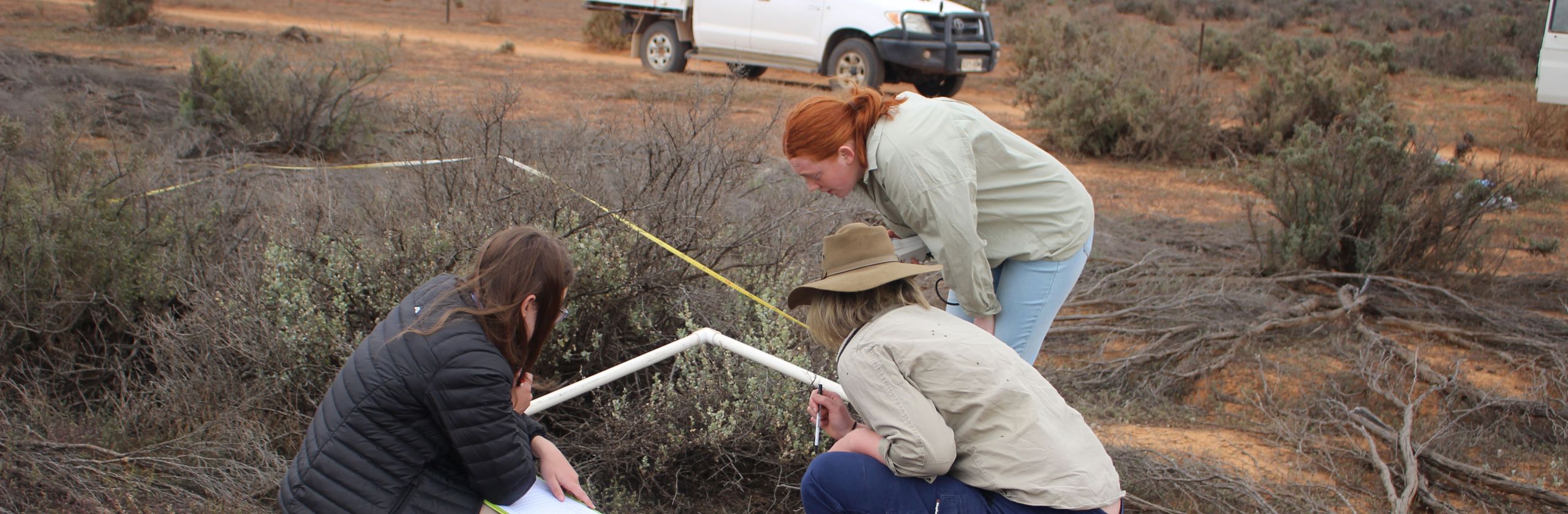 Three Earthwatch Student Challengers crouching and studying the ground in a remote setting.