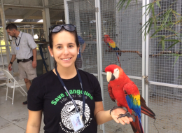Bianca Papadopoulos, ISSI fellow. Woman with a large red, yellow and blue bird perched on her hand standing in front of an animal enclosure.
