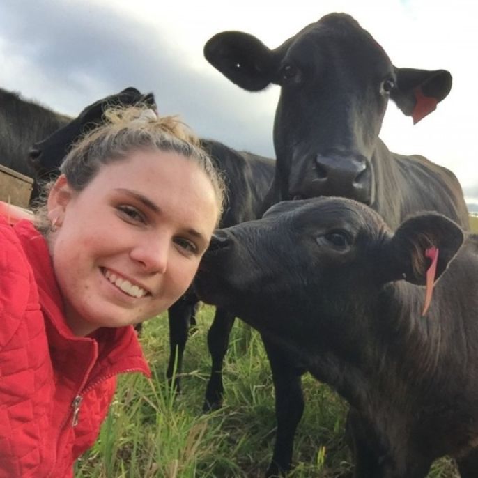 Scholar taking a selfie while being kissed on the cheek by a black cow