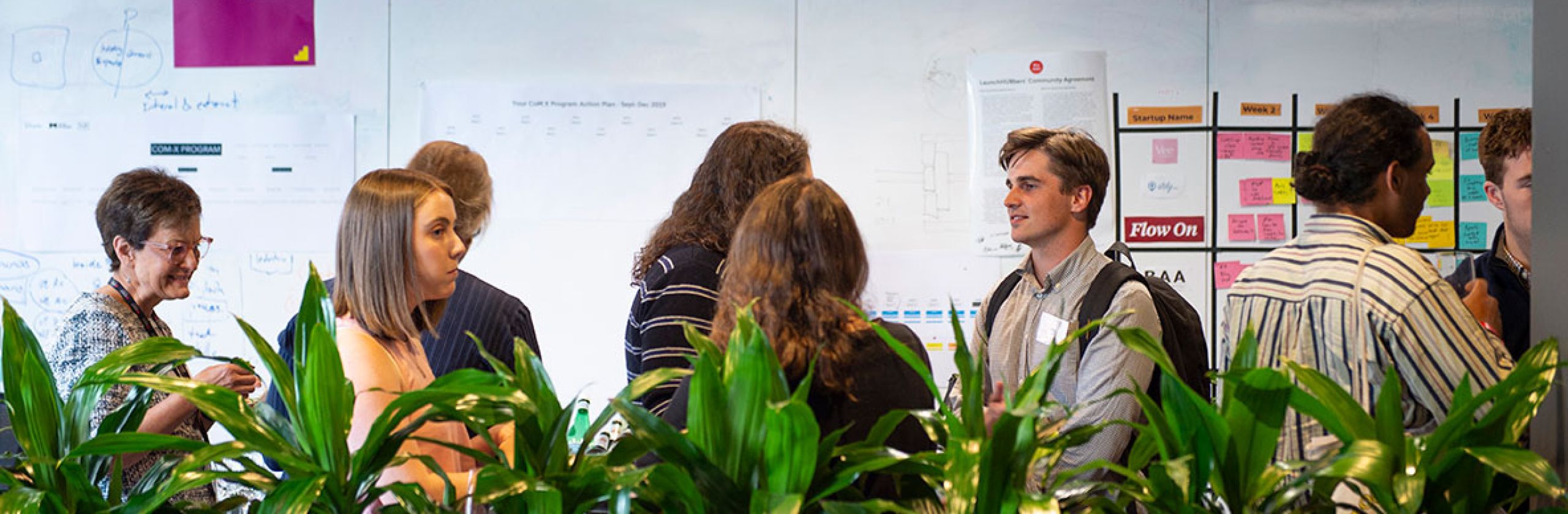 A group of scholars talking in front of a row of plants