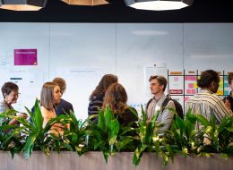 A group of scholars talking in front of a row of plants