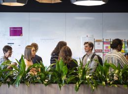 Students mingling behind a row of plants. 