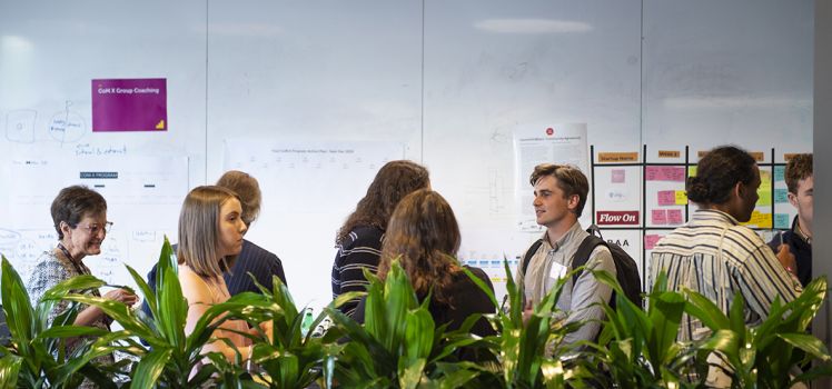 Students mingling behind a row of plants. 