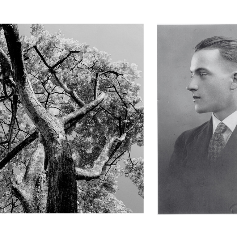 Black and white photo of trees and young photo of George Alexander.
