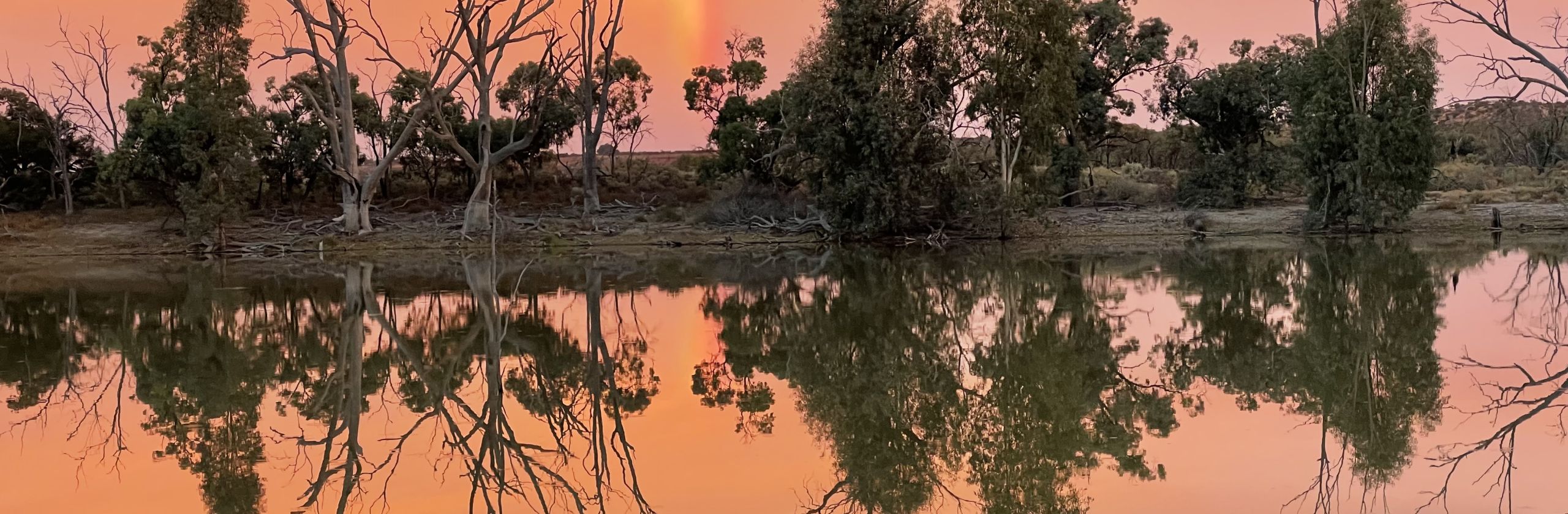 Image of mirroring trees over lake at sunset.