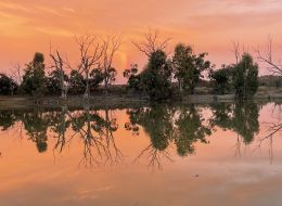 Image of mirroring trees over lake at sunset.