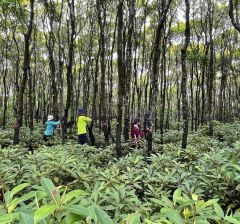 Three students in mangrove field.