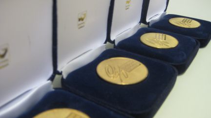 Row of GAF medals in their cases